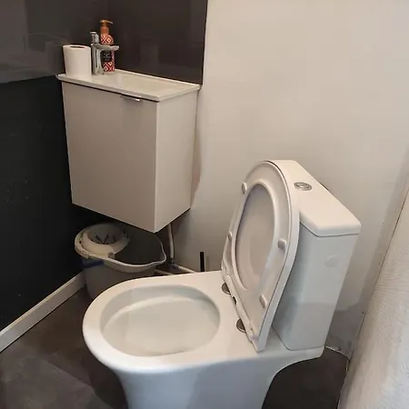 Lejlighed ღ Delfosse - 3 Chambres, Exterieur Et Wifi Fibre Douai